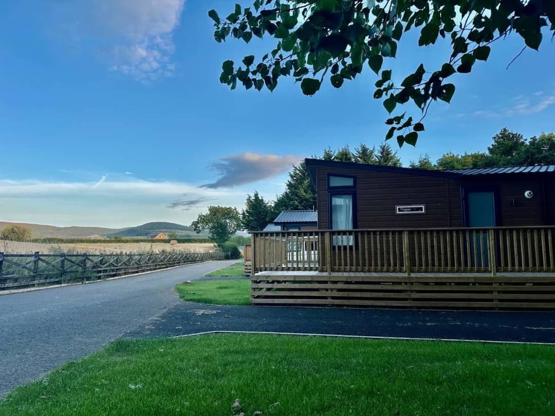 Willerby Vogue Classique 2024