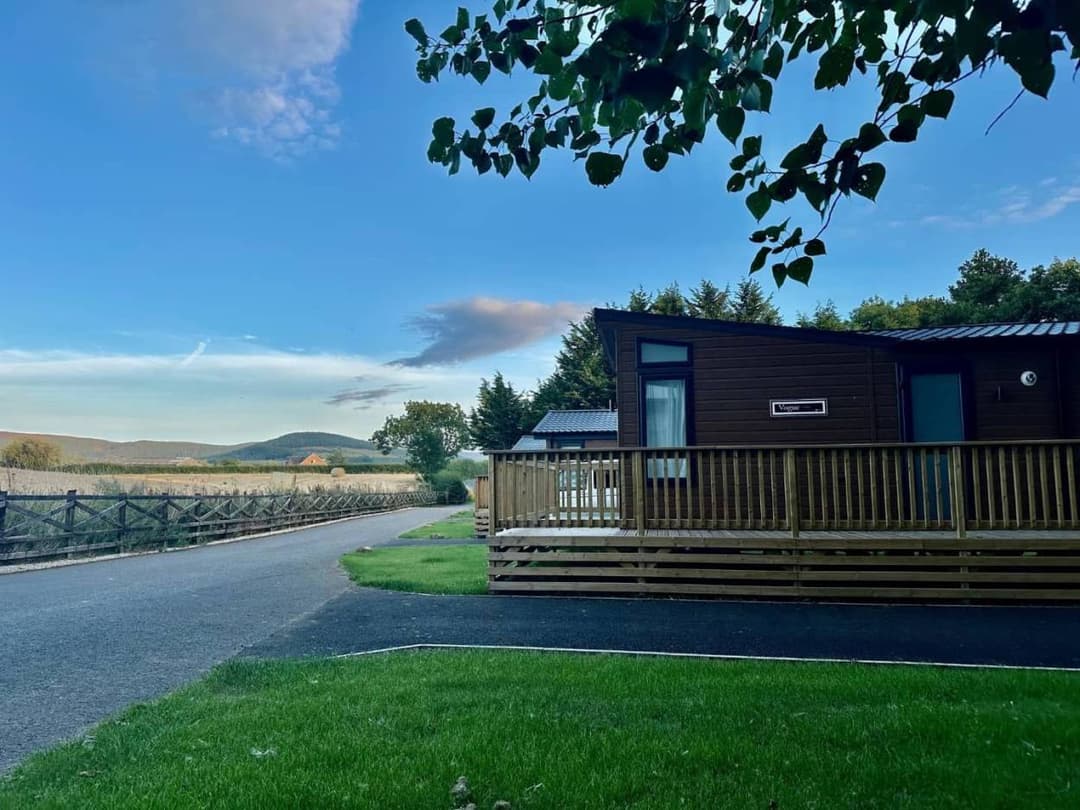 WILLERBY VOGUE CLASSIQUE