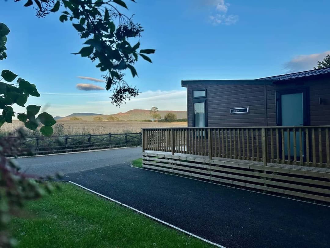 WILLERBY VOGUE CLASSIQUE