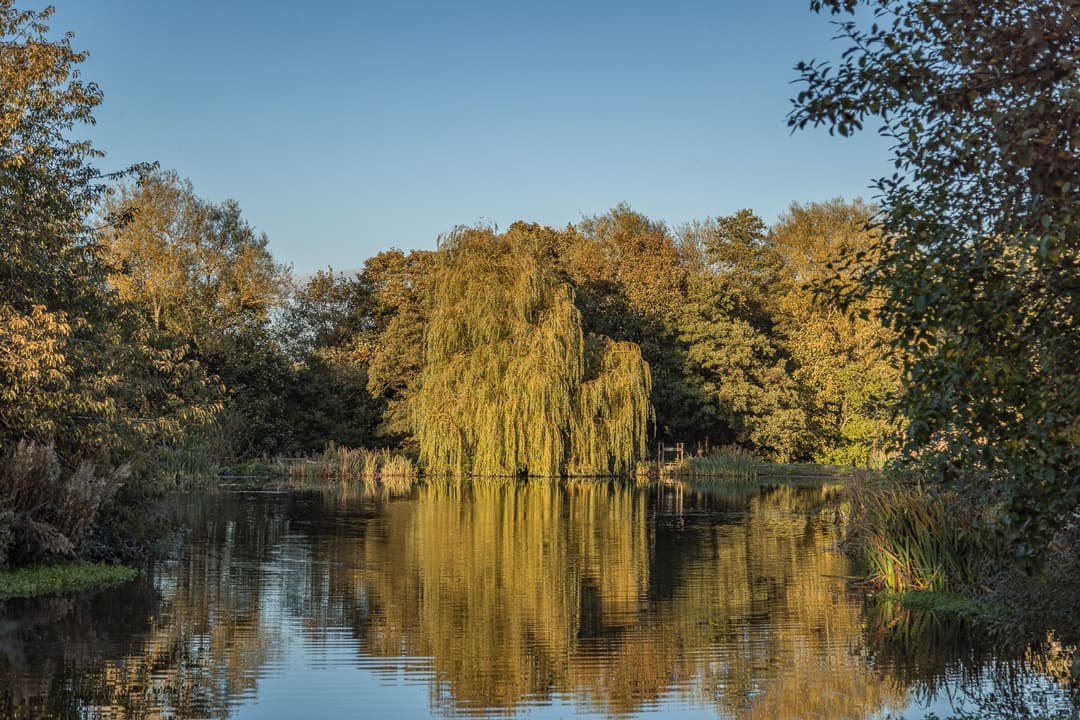 Bronte Country Park