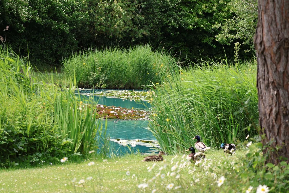 Lakeside Retreats Residential Park