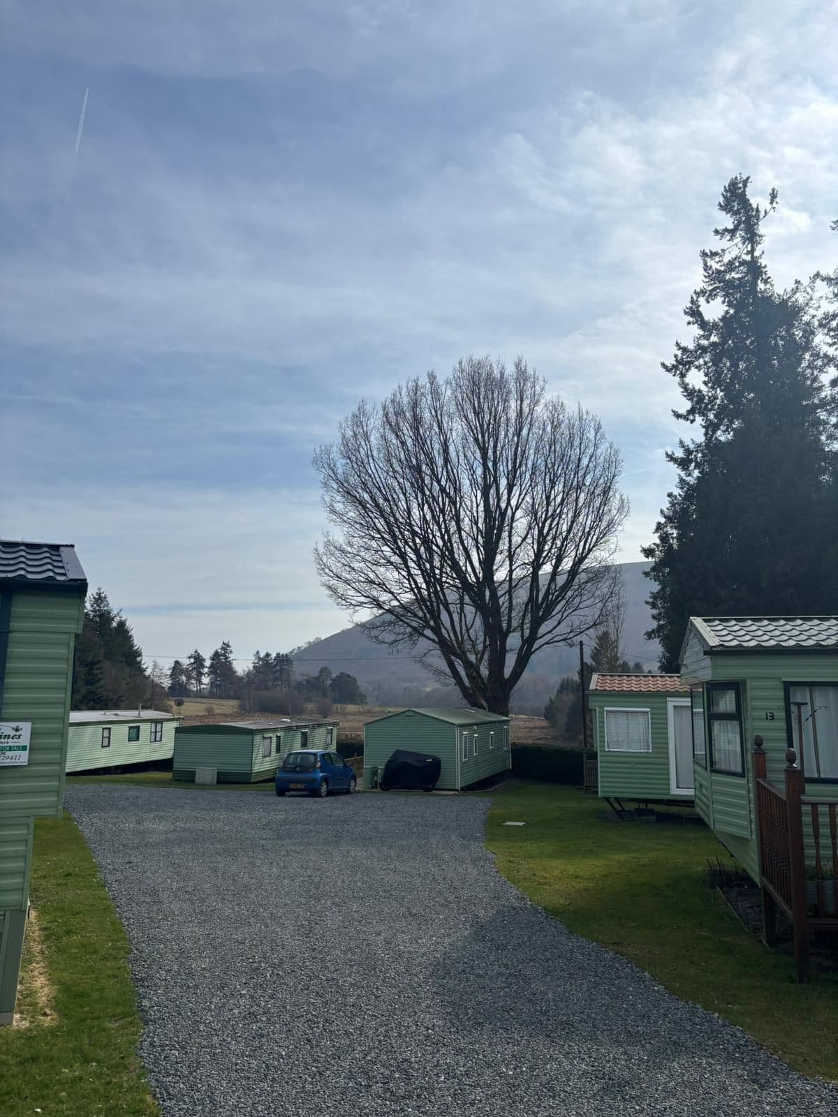 The Pines Holiday Park